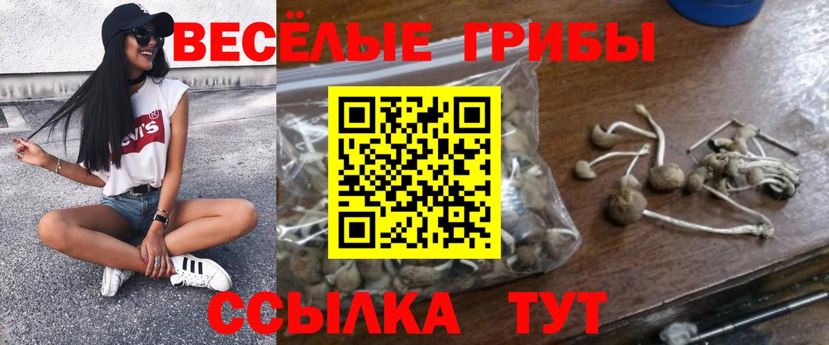 Галлюциногенные грибы ЛСД Горячий Ключ